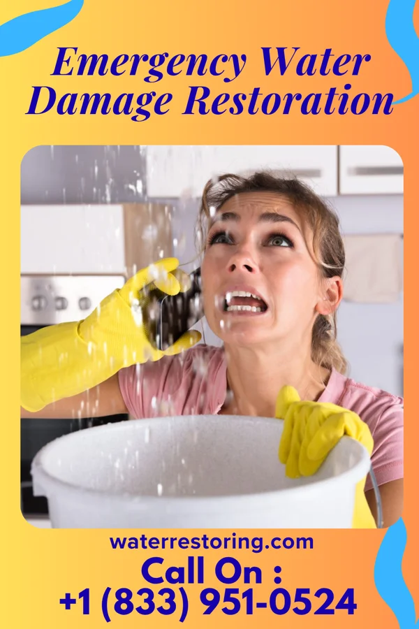 Emergency Water Damage Restoration in Frontenac, MO