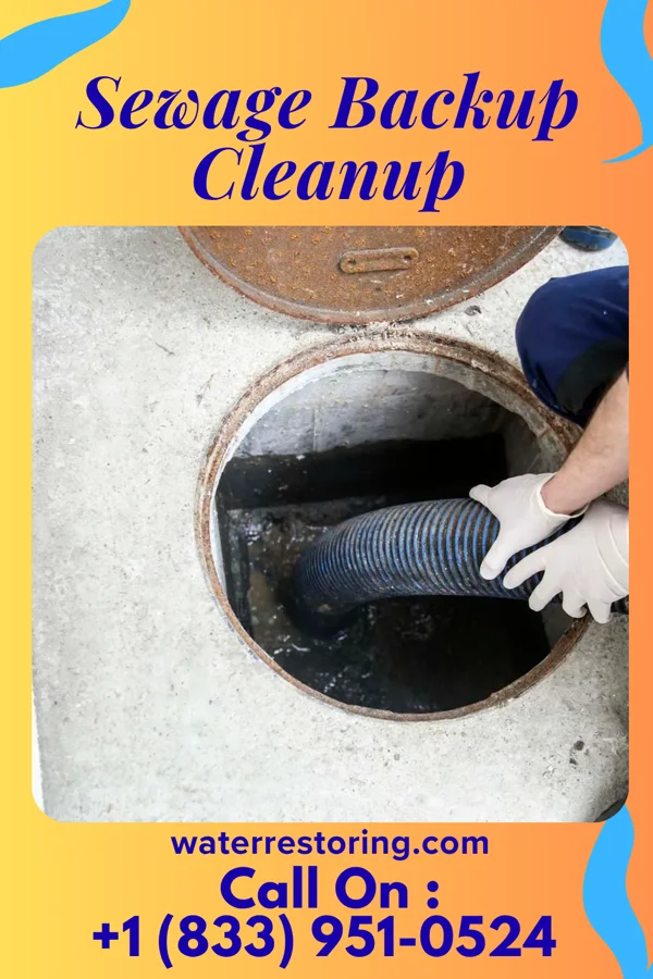 Sewage Backup Cleanup in Frontenac, MO