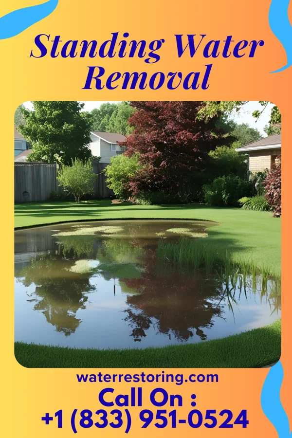 Standing Water Removal in Frontenac, MO